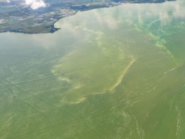 Toxic and green looking body of water