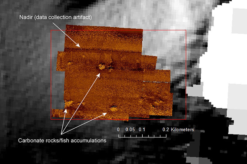 Interpreting Sentry’s Geophysical Data