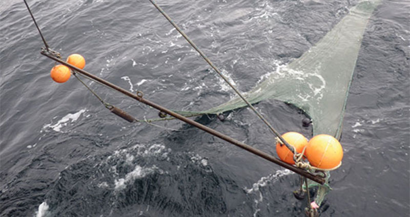 A beam trawl in the water, collecting samples of marine life for scientists to sort through. Image courtesy of Bodil Bluhm and Katrin Iken, 2012 RUSALCA Expedition, RAS-NOAA.