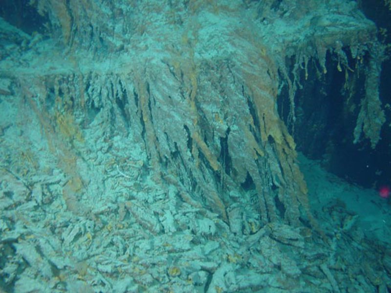 Window frames belonging to the Titanic. Rusticles are growing on either side of the window frames.