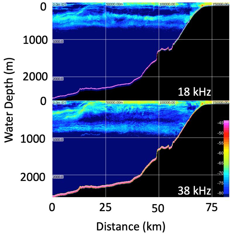Figure 1. Acoustic backscatter data at 18kHz (top) and 38 kHz (bottom) shows the vertical and horizontal distribution of biological scatterers associated with the shelf break in the northern Gulf of Mexico. Color scale represents acoustic scattering intensity (in dB re 1 m-1). Figure 1. Acoustic backscatter data at 18kHz (top) and 38 kHz (bottom) shows the vertical and horizontal distribution of biological scatterers associated with the shelf break in the northern Gulf of Mexico. Color scale represents acoustic scattering intensity (in dB re 1 m-1).
