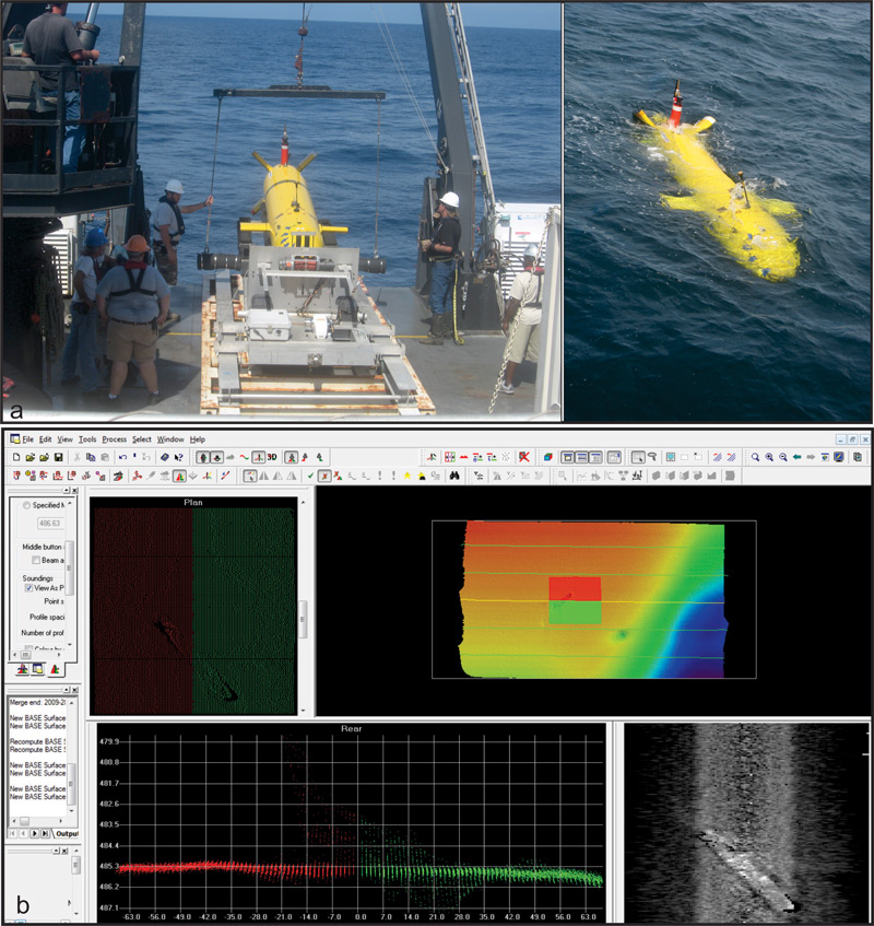 Figure 2. The Eagle Ray (a) and an example of data (b). Figure 2. The Eagle Ray (a) and an example of data (b).