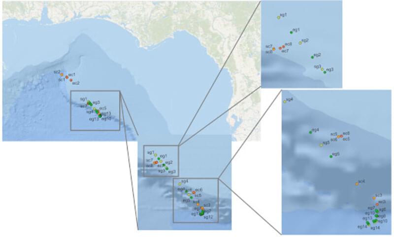 Figure 2. Map illustrating the deployments of both the Driftcams and Slocum Glider in the Gulf of Mexico from July 27-31, 2021. Labels “SC” and “SG” represent the start of Driftcam and Glider deployment, respectively. “EC” and “EG” represent the end of deployment for Driftcam and Glider, respectively. Figure 2. Map illustrating the deployments of both the Driftcams and Slocum Glider in the Gulf of Mexico from July 27-31, 2021. Labels “SC” and “SG” represent the start of Driftcam and Glider deployment, respectively. “EC” and “EG” represent the end of deployment for Driftcam and Glider, respectively.