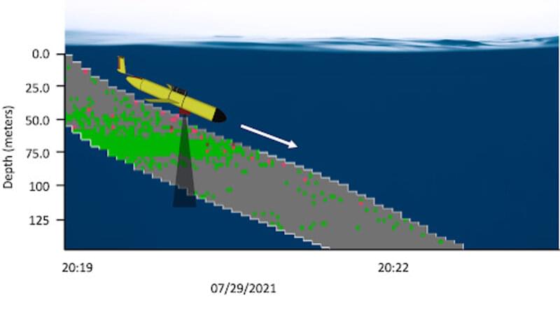 Figure 6. A “pseudogram,” a coarse echogram generated by the glider, highlights the scattering layer that the glider encountered between 50-80 meters (164-262 feet) depth. Green corresponds to stronger sound scattering, grey areas indicate the part of the water column where the glider did not detect any scattering during its descent. When the glider surfaces, it transmits this “pseudogram” via satellite to researchers to help determine where the scattering layers are. At the end of a mission the glider is retrieved and the high-resolution raw data can be downloaded. Figure 6. A “pseudogram,” a coarse echogram generated by the glider, highlights the scattering layer that the glider encountered between 50-80 meters (164-262 feet) depth. Green corresponds to stronger sound scattering, grey areas indicate the part of the water column where the glider did not detect any scattering during its descent. When the glider surfaces, it transmits this “pseudogram” via satellite to researchers to help determine where the scattering layers are. At the end of a mission the glider is retrieved and the high-resolution raw data can be downloaded.