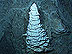July 25, 2005 Log