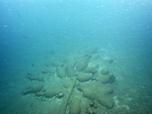 Cargo wreck containing ceramic jars