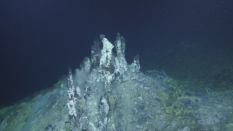 Hydrothermal vents explored during a 2019 expedition to Gorda Ridge off the California Coast on Exploration Vessel Nautilus.