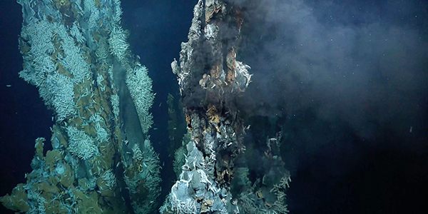 A high-temperature hydrothermal vent field discovered on Puy des Folles Seamount on the Mid-Atlantic Ridge, at approximately 2,000 meters (6,562 feet) in depth, during the In Search of Hydrothermal Lost Cities expedition, which received funding from the Ocean Exploration Fiscal Year 2020 Funding Opportunity.