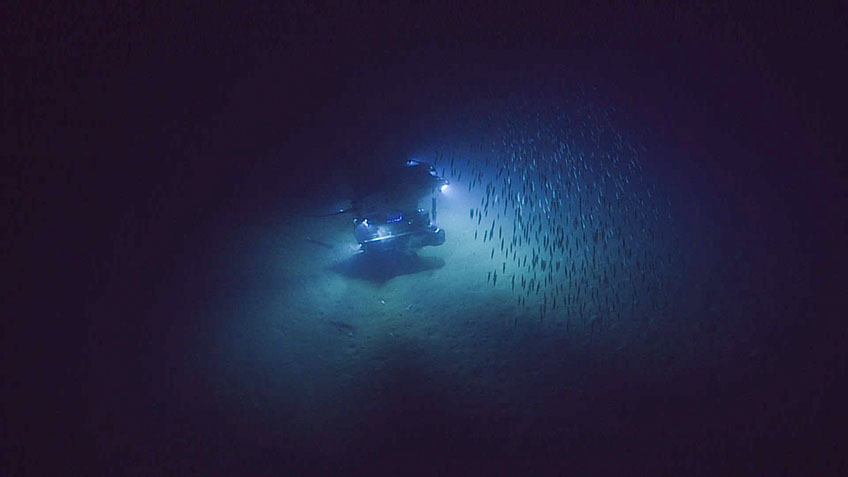 The shallowest depth that the ROV Deep Discoverer dives at is 250 meters, below the depth that severe storms have been measured to cause disturbances.