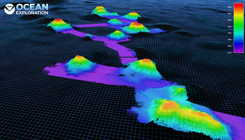 Almost 40 seamounts were mapped during the 2021 North Atlantic Stepping Stones: New England and Corner Rise Seamounts expedition, including more than half that had little to no preexisting data. This data not only helps the mission team decide where to conduct ROV dives to further explore the seamounts, but also improves our understanding of the North Atlantic seamount chains.